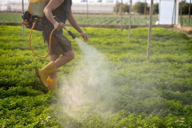 Trusted Westgate, FL Pest Control Experts