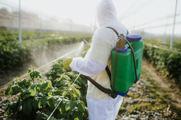Best Best Pest Control Companies  in Westgate, FL